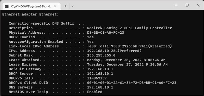 ipconfig-all-realtek-gaming-controller