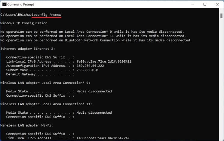 ipconfig renew