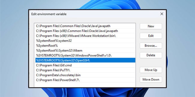 openssh-system-path