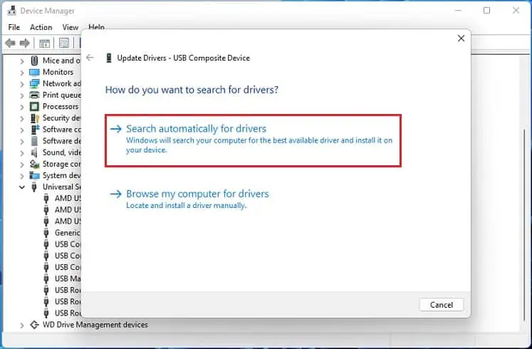 Why is WD Passport Not Showing Up in Windows? 12 Ways to Fix It 30 search-for-usb-drivers-automatically