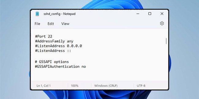 sshd-config-file