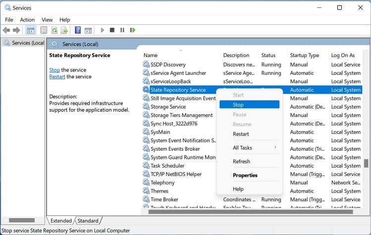 stop state repository in services app