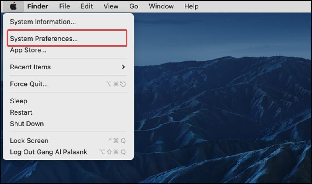 system preferences