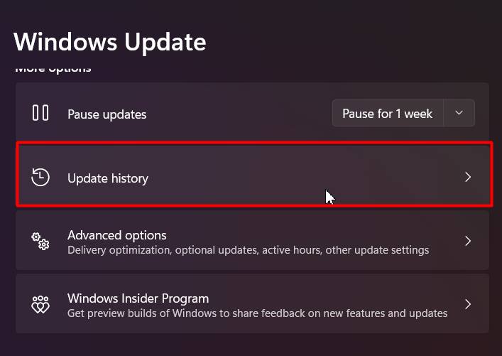 update-history