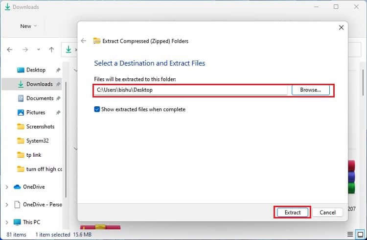 unzip the downloaded file
