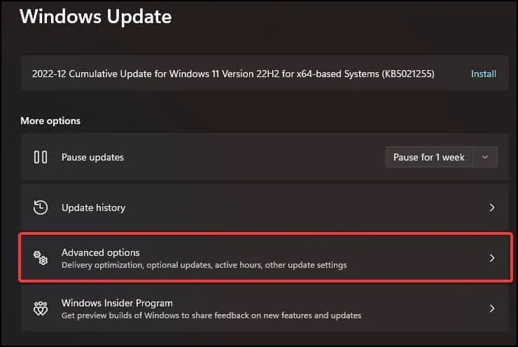 update-advance-options