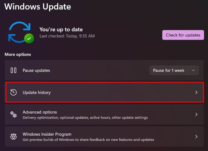 update history