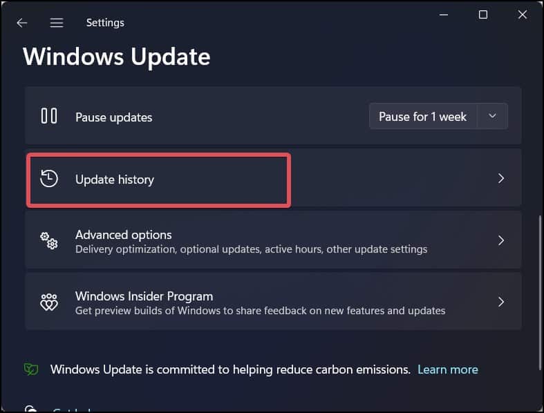 update history