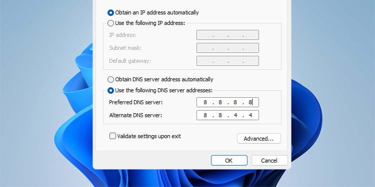 use-the-following-dns-server-addresses