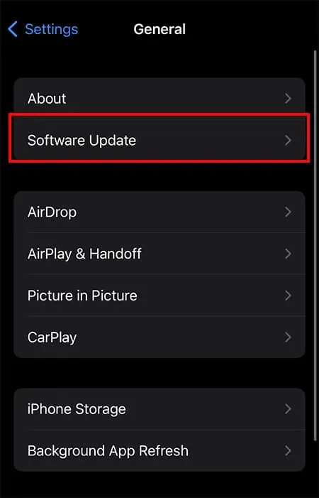 Choose-General-Software-Update.