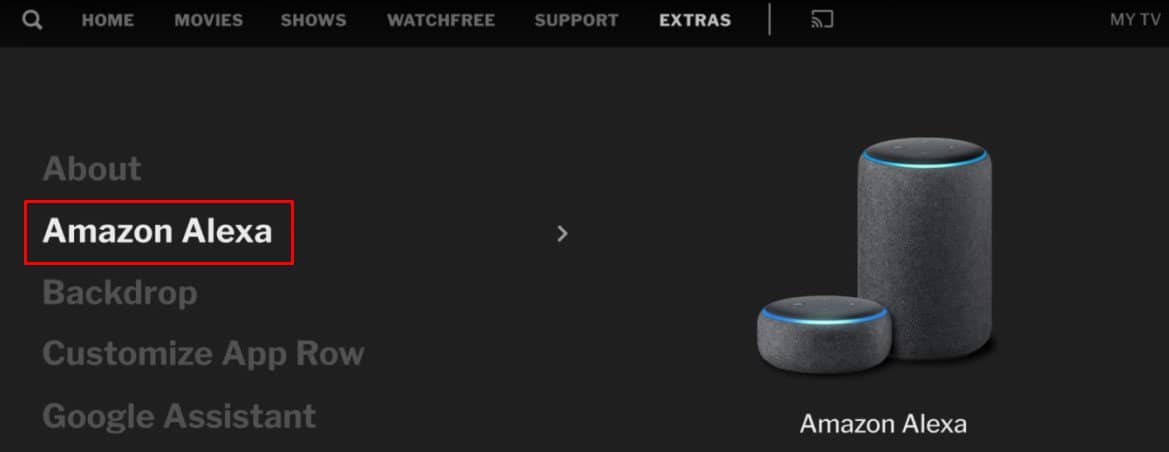 amazon alexa option