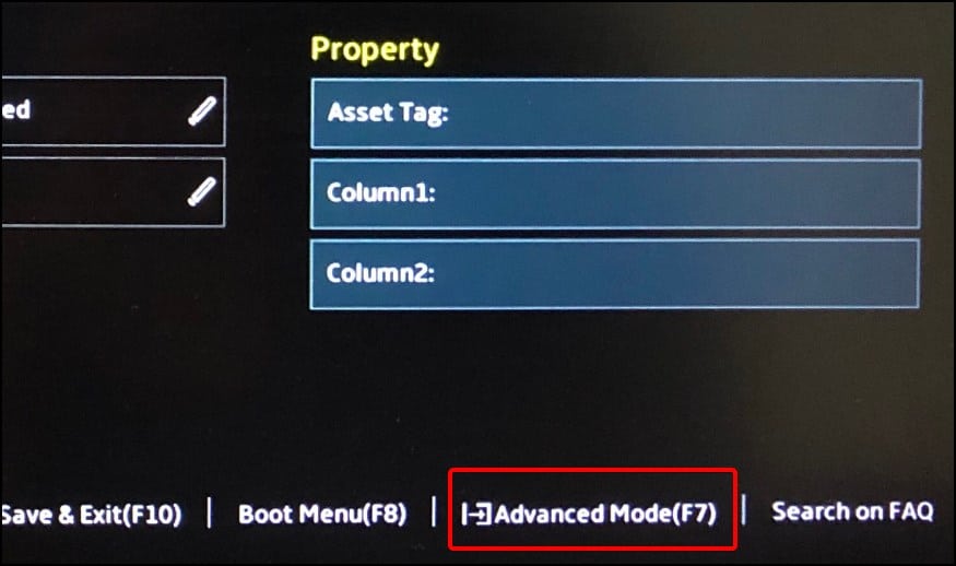 bios advance mode