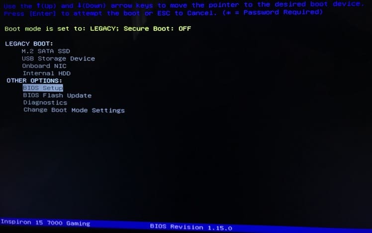 bios setup