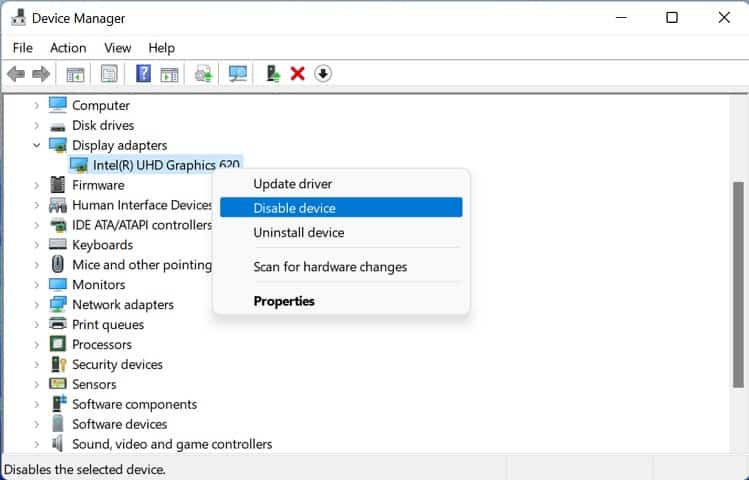 disable display driver