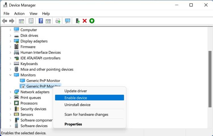 enable monitor driver