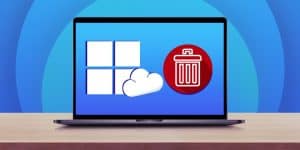 how to delete win backup files