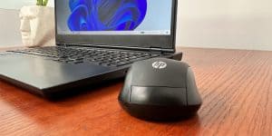 hp mouse not working