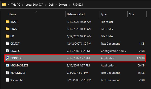 run dddp executable file