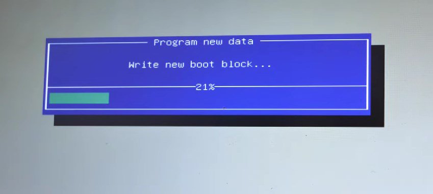BIOS updating