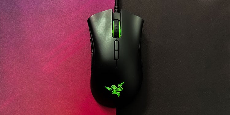 Razer Mouse Not Working