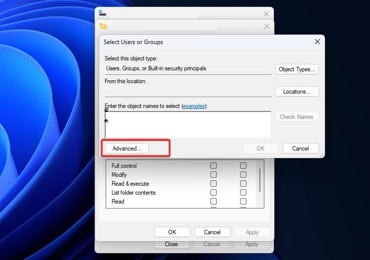 advanced options in add user for permission