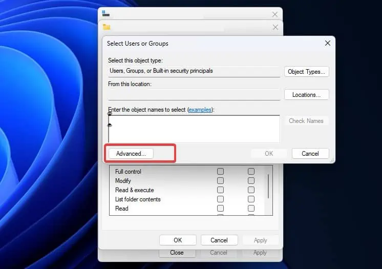 advanced-options-in-add-user-for-permission