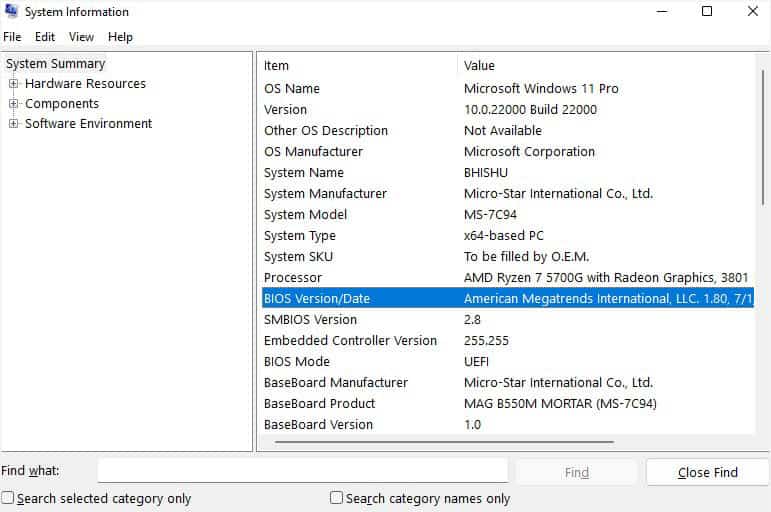 check bios version