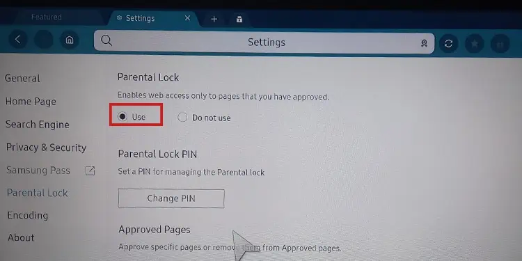 How to Setup and Unlock Parental Control on Samsung TV 18 check-parental-lock-option-on-samsung-browser