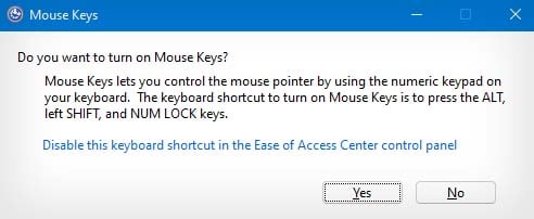 confirm enable mouse keys