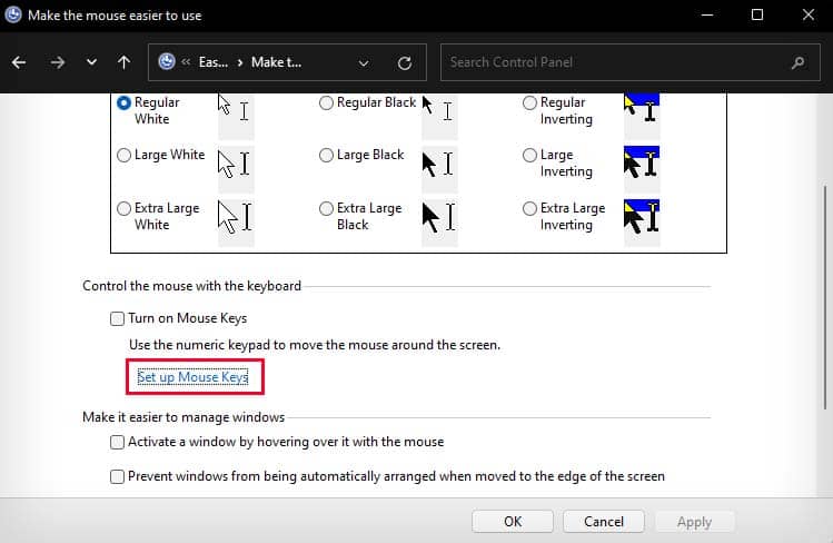 control panel setup mouse keys