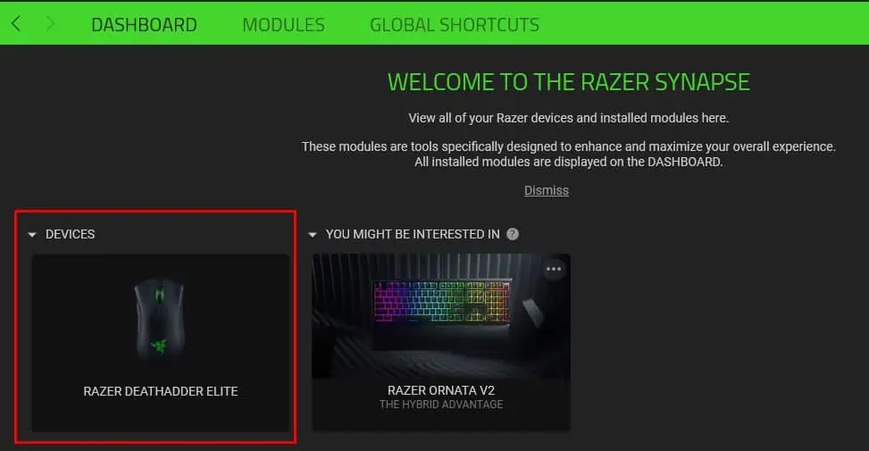 Razer Mouse Not Working? Here're 9 Ways to Fix It 21 devices-razer-deathadder