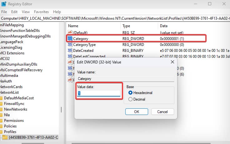 enter the value data for changing the network profile