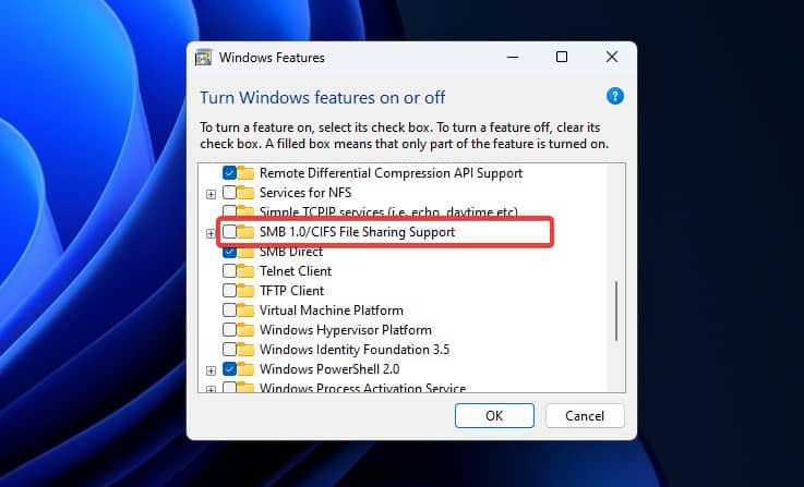 OPTIONAL FEATURES