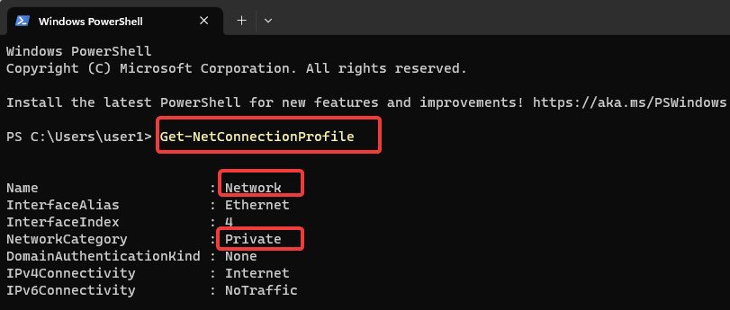 get net connection profile
