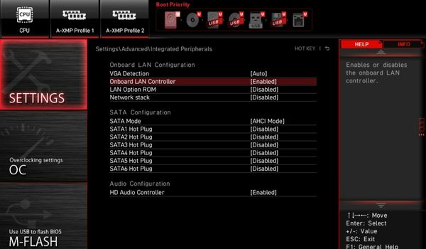onboard lan controller in msi bios