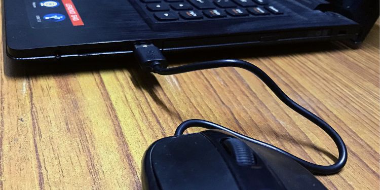 Why is My Mouse Not Working? 20 Ways to Fix It 4 reconnect your wired mouse