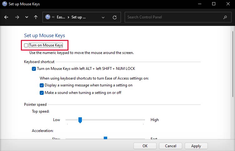 turn on mouse keys