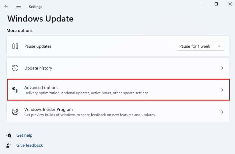 advanced options in windows update