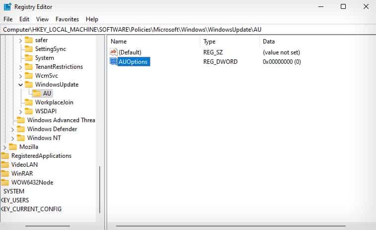 auoptions entry in registry
