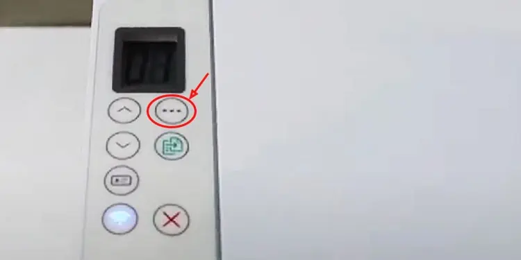copy-options-button