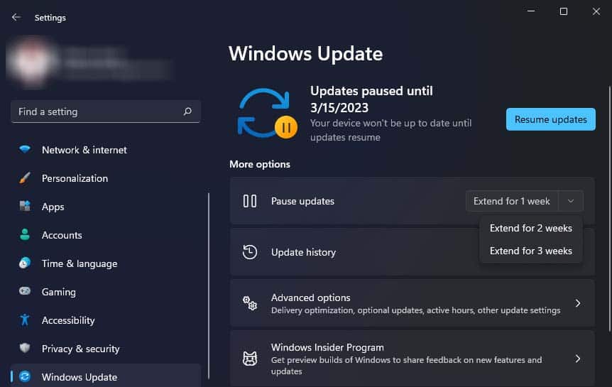 extend paused windows update