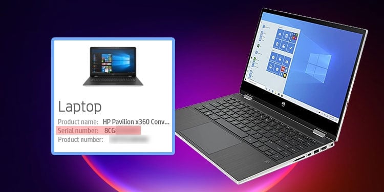 how to find serial number on hp laptop