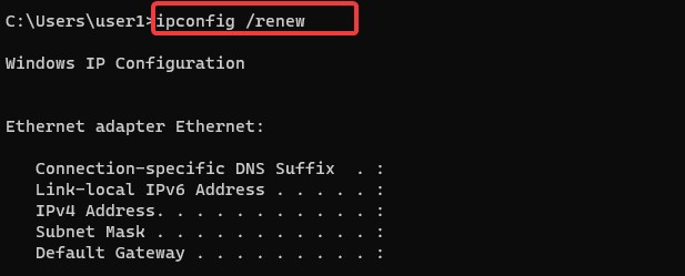 ip renew