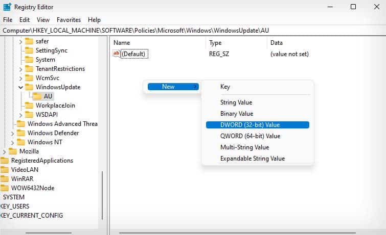new registry entry in AU key