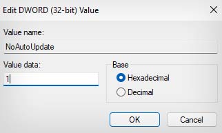 noautoupdate registry entry set to 1