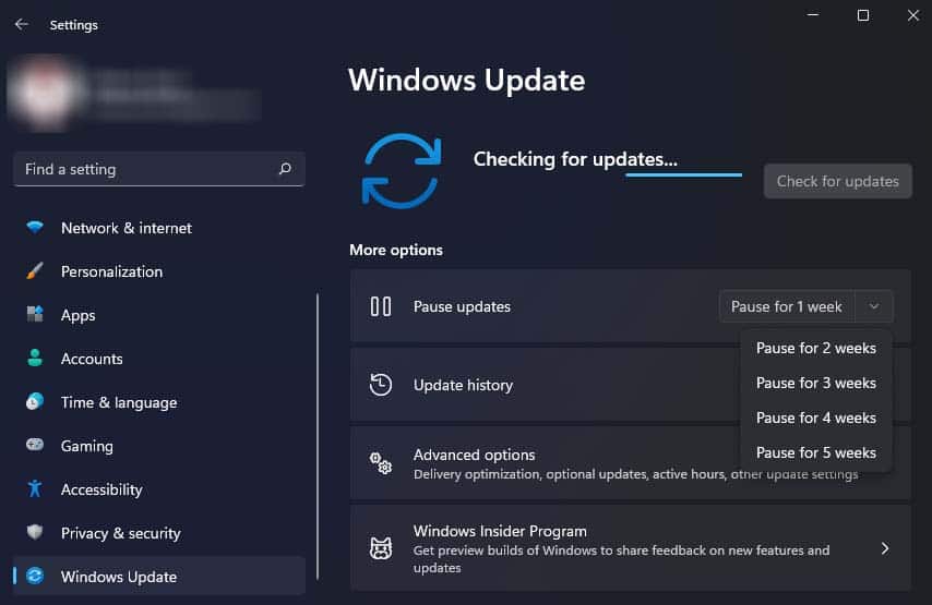 pause windows update