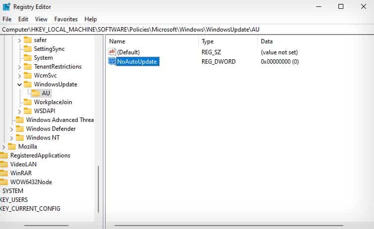 registry noautoupdate entry