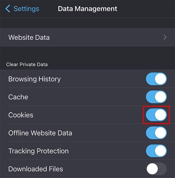 enable firefox cookies in ios device