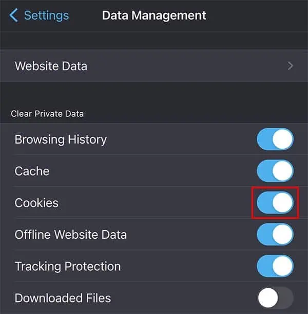 enable-firefox-cookies-in-ios-device