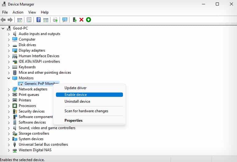 enable monitor drivers